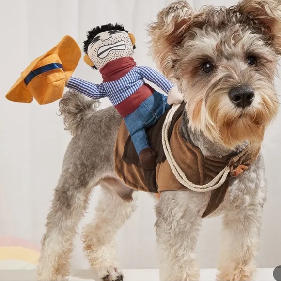 Funny Cowboy Rider Costume for Small and Medium Pets New - Picture 6 of 14